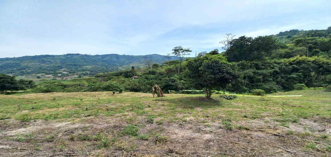 Lote en venta en Combia, Pereira · foto 2 de 18