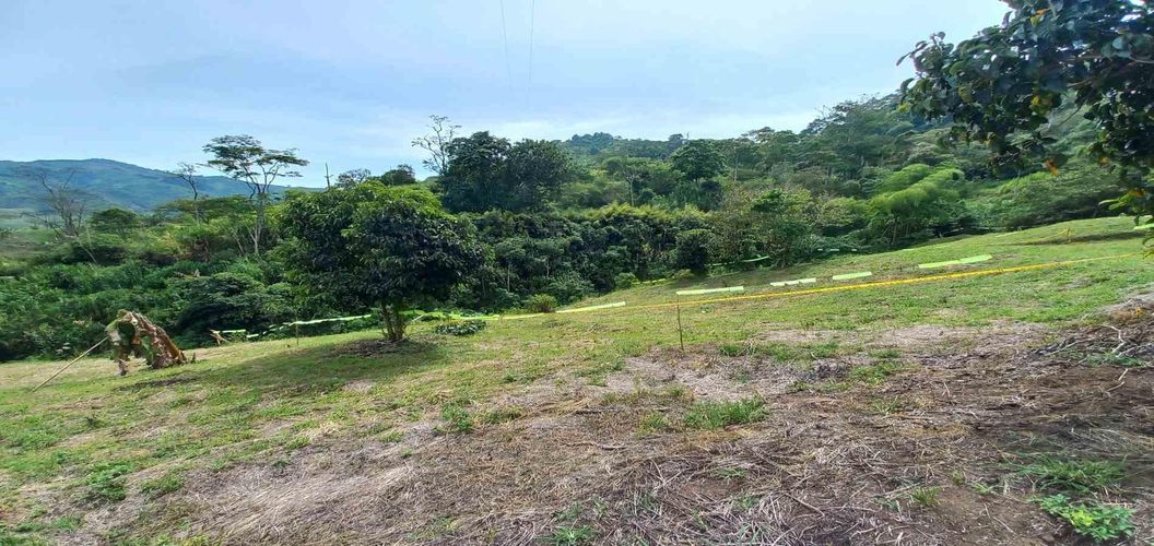 Lote en venta en Combia, Pereira · foto 3 de 18