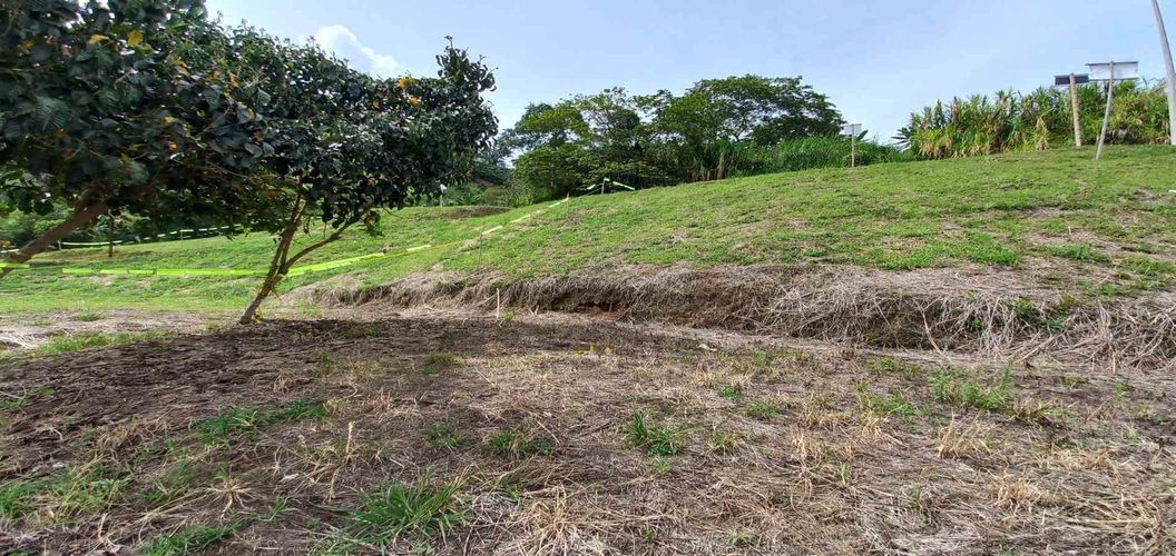 Lote en venta en Combia, Pereira · foto 4 de 18