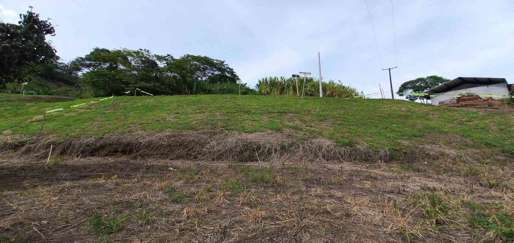Lote en venta en Combia, Pereira · foto 5 de 18