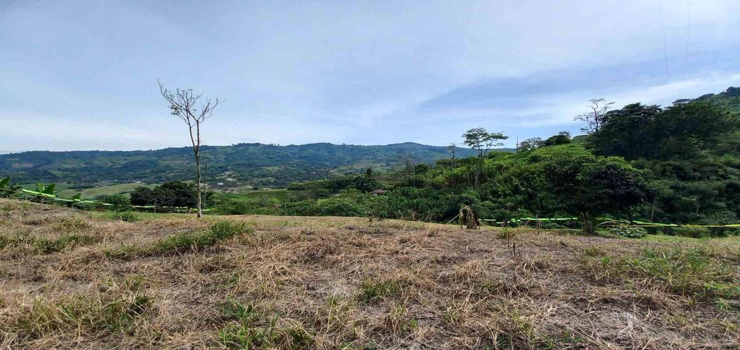 Lote en venta en Combia, Pereira · foto 9 de 18