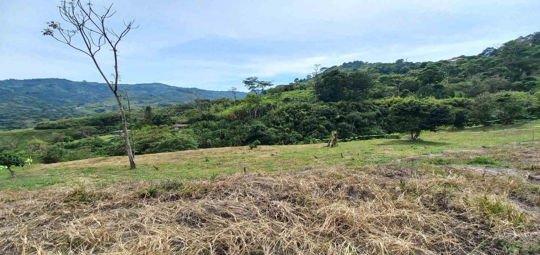 Lote en venta en Combia, Pereira · foto 10 de 18