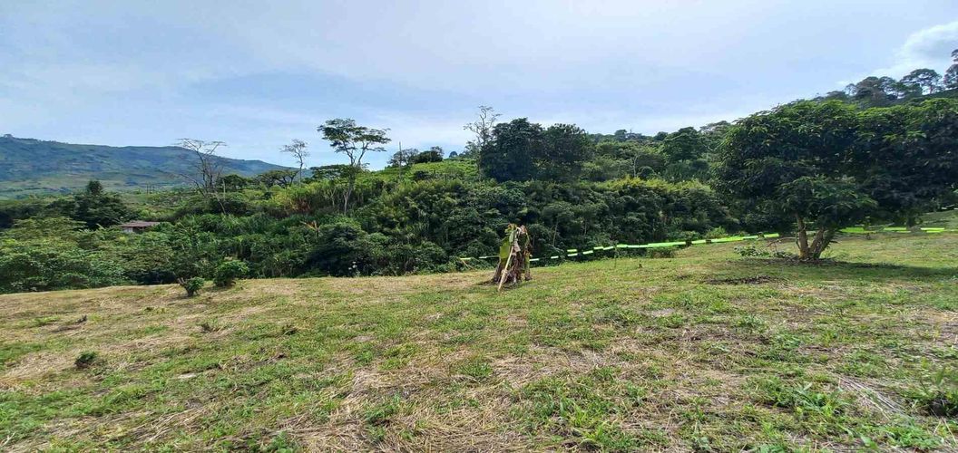 Lote en venta en Combia, Pereira · foto 13 de 18