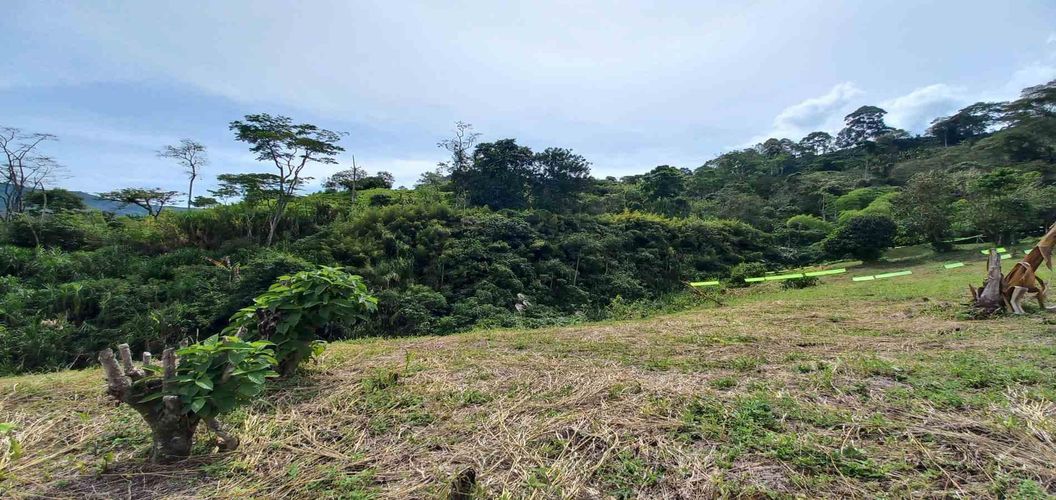 Lote en venta en Combia, Pereira · foto 15 de 18