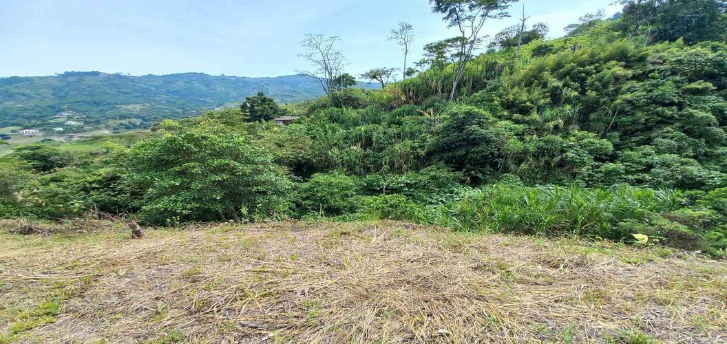 Lote en venta en Combia, Pereira · foto 16 de 18