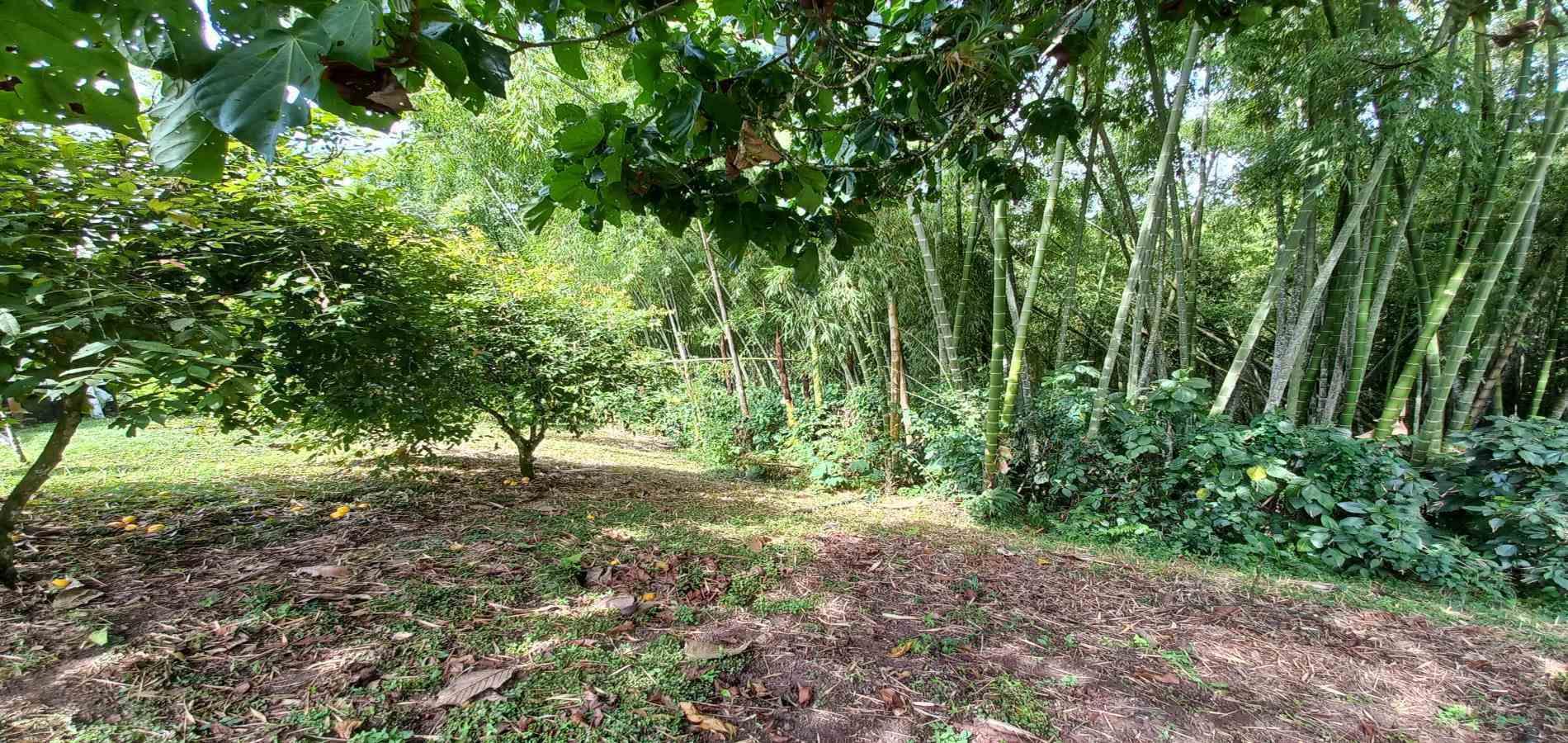 Casa en venta en Tribunas Corcega, Pereira · foto 14 de 23
