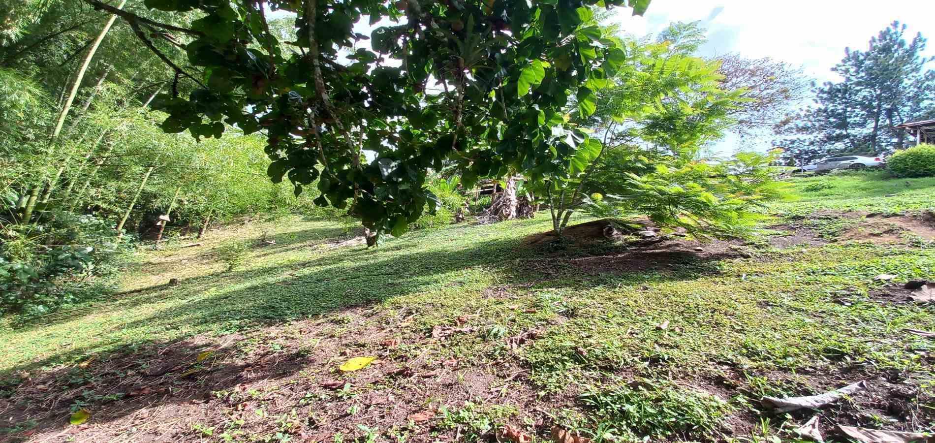 Casa en venta en Tribunas Corcega, Pereira · foto 15 de 23