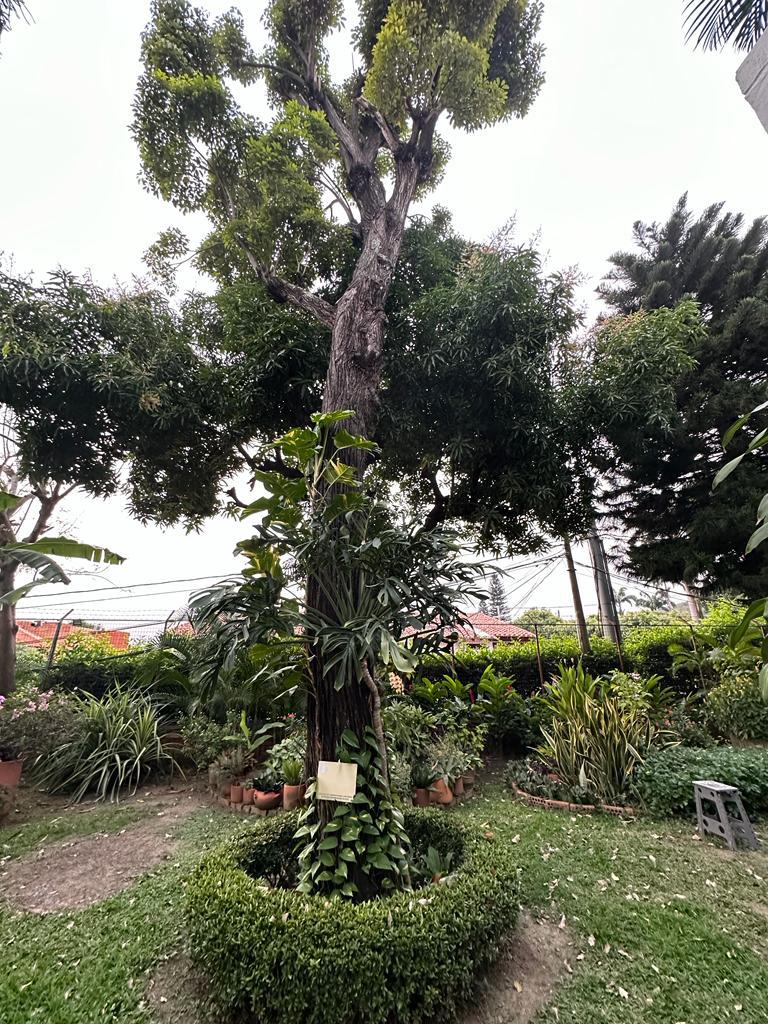 Apartamento en venta en Bellavista, Cúcuta · foto 18 de 21