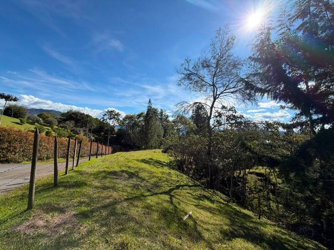 Lote en venta en San Miguel, La Ceja, 6089 m² · foto 5 de 10