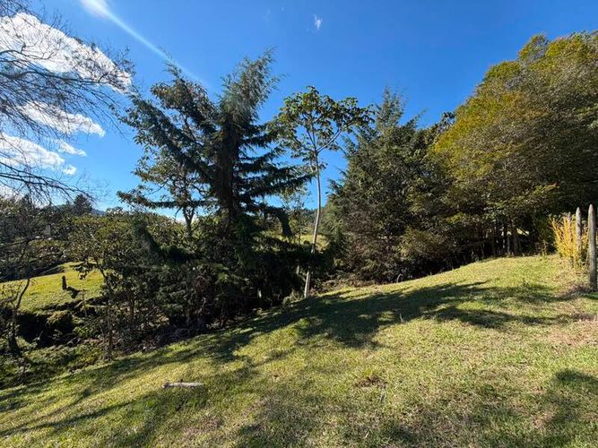 Lote en venta en San Miguel, La Ceja, 6089 m² · foto 6 de 10