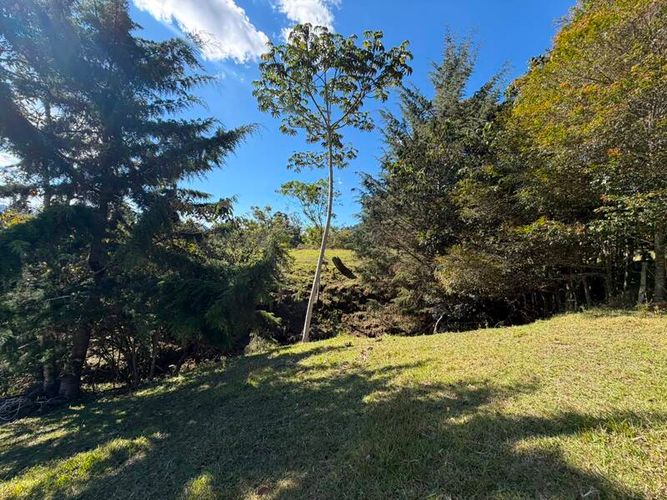 Lote en venta en San Miguel, La Ceja, 6089 m² · foto 7 de 10