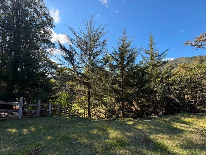 Lote en venta en San Miguel, La Ceja, 6089 m² · foto 8 de 10