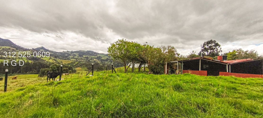 Finca en venta en Rio Frio, Zipaquirá, 25000 m² · foto 3 de 15