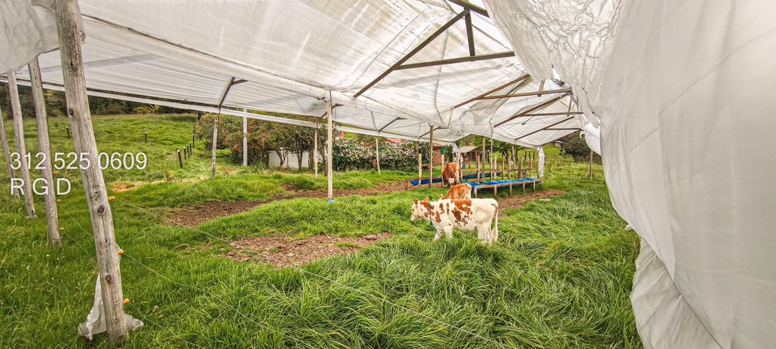 Finca en venta en Rio Frio, Zipaquirá, 25000 m² · foto 4 de 15