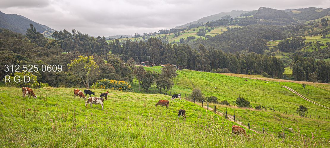 Finca en venta en Rio Frio, Zipaquirá, 25000 m² · foto 5 de 15