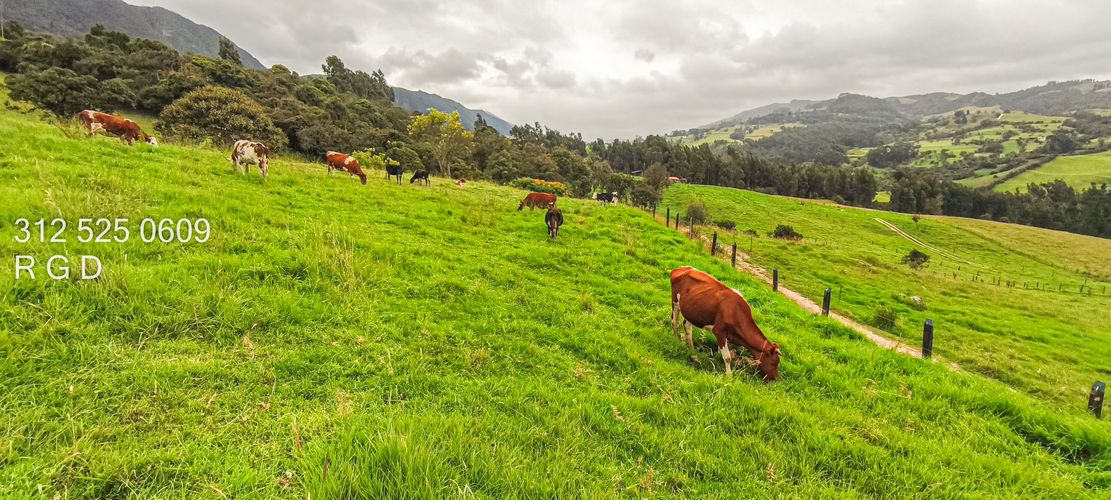 Finca en venta en Rio Frio, Zipaquirá, 25000 m² · foto 6 de 15