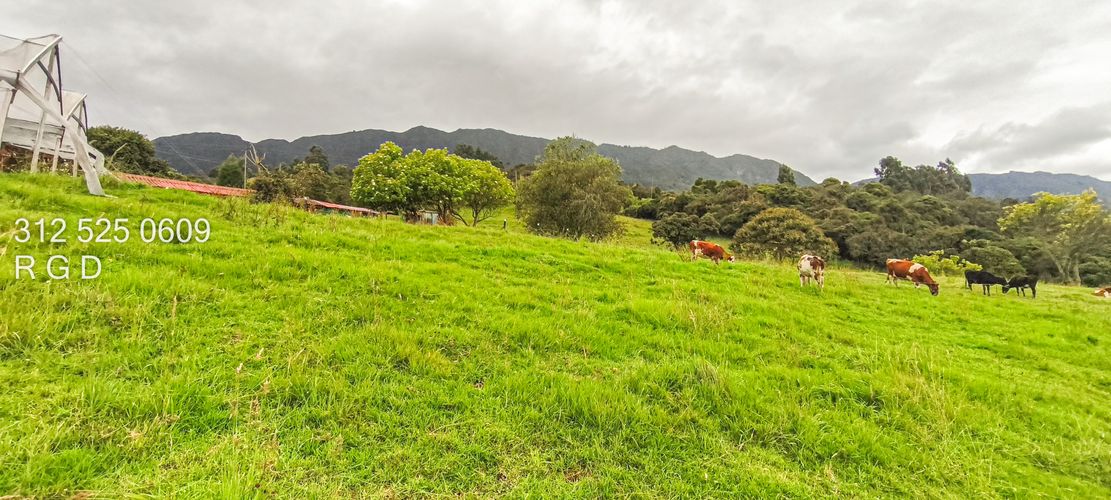 Finca en venta en Rio Frio, Zipaquirá, 25000 m² · foto 8 de 15