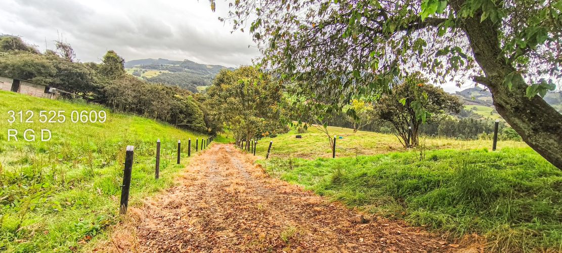 Finca en venta en Rio Frio, Zipaquirá, 25000 m² · foto 9 de 15