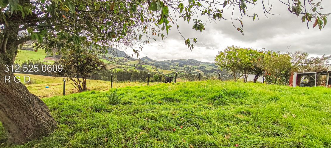 Finca en venta en Rio Frio, Zipaquirá, 25000 m² · foto 11 de 15