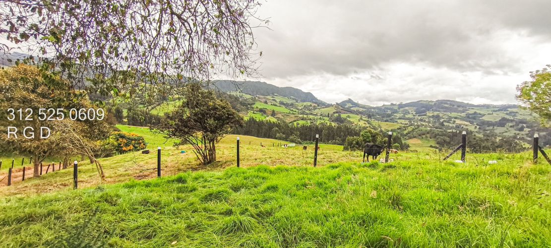 Finca en venta en Rio Frio, Zipaquirá, 25000 m² · foto 12 de 15