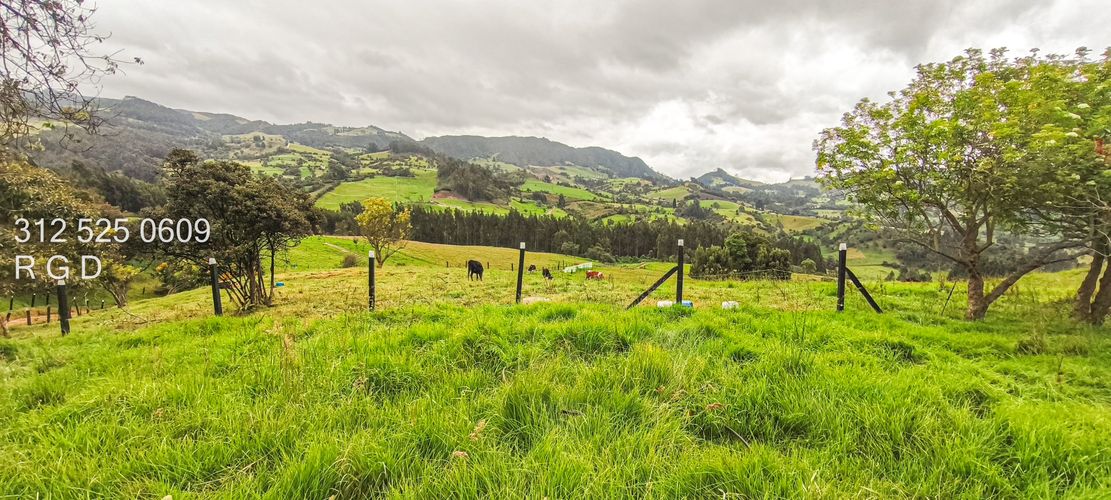 Finca en venta en Rio Frio, Zipaquirá, 25000 m² · foto 13 de 15