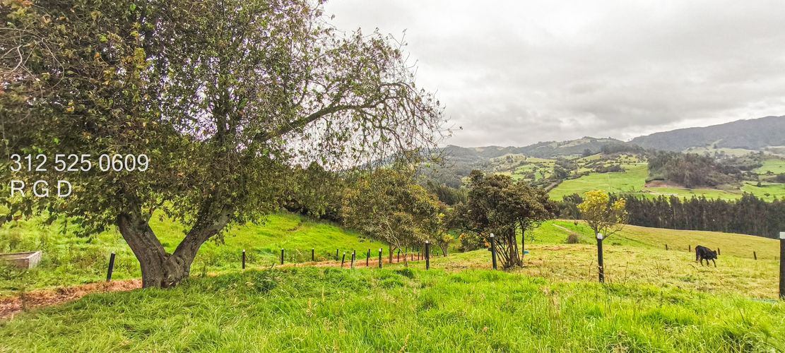 Finca en venta en Rio Frio, Zipaquirá, 25000 m² · foto 14 de 15