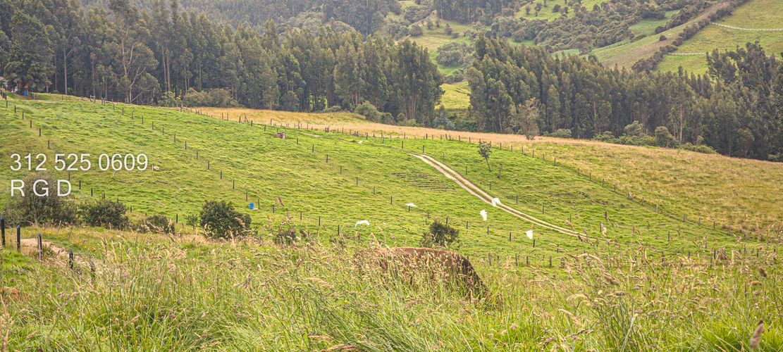 Finca en venta en Rio Frio, Zipaquirá, 25000 m² · foto 15 de 15