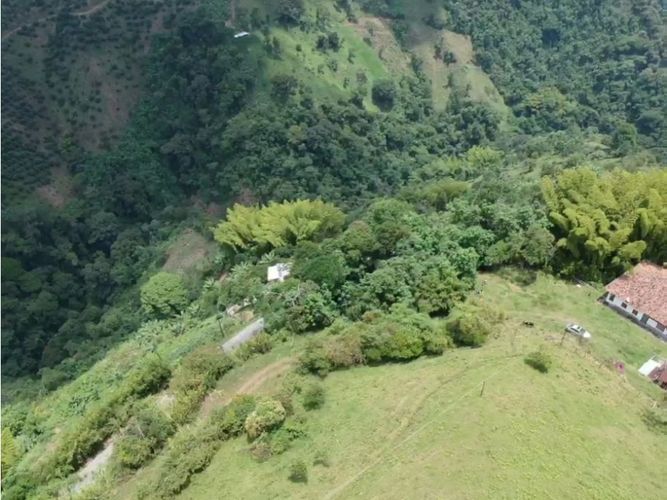 Lote en venta en Alto Bonito, Manizales · foto 2 de 24