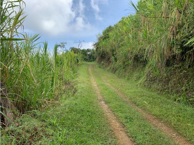 Lote en venta en Alto Bonito, Manizales · foto 3 de 24
