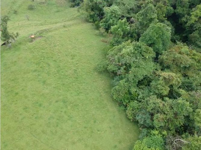 Lote en venta en Alto Bonito, Manizales · foto 13 de 24