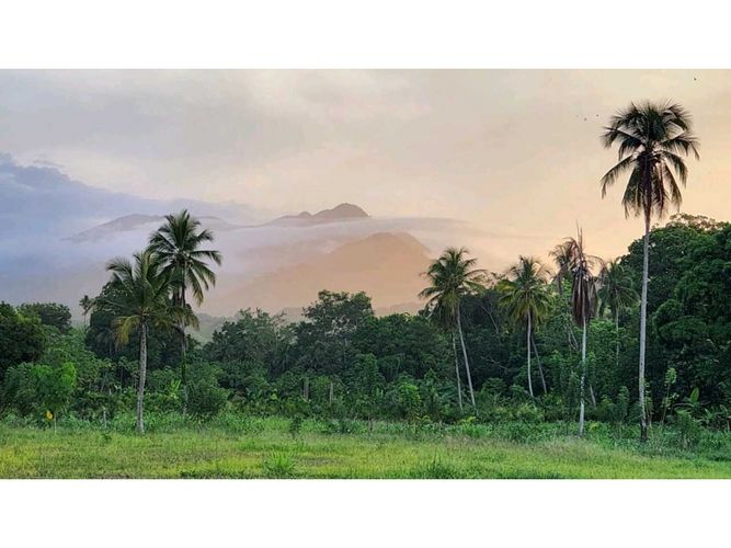 Lote en venta en Calabazo, Santa Marta, 2000 m² · foto 13 de 19