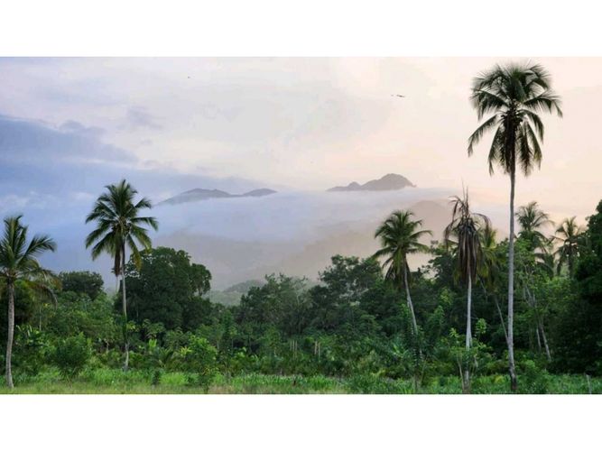 Lote en venta en Calabazo, Santa Marta, 2000 m² · foto 14 de 19