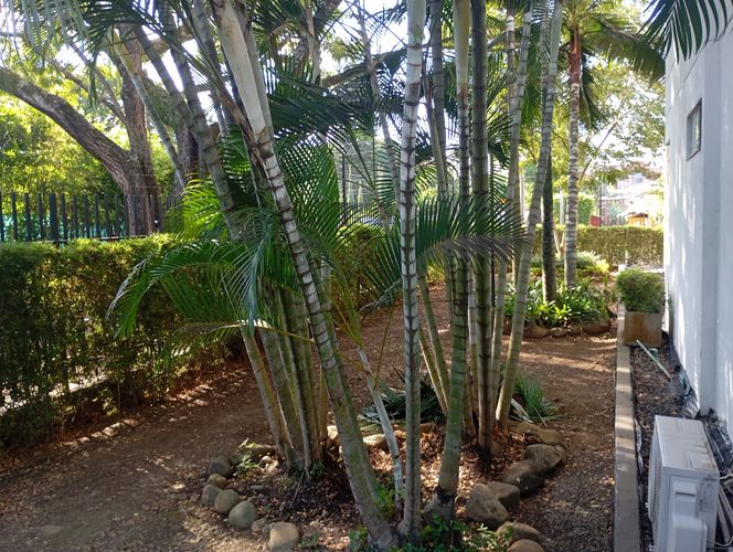 Apartamento de 3 alcobas en venta en Pance, Cali, 130 m² · foto 2 de 20