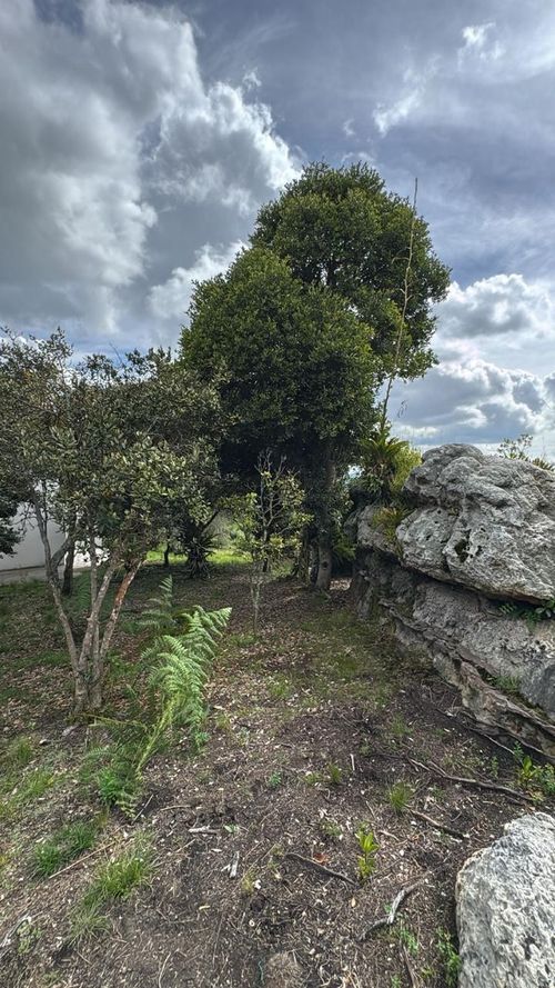 Casa de 4 alcobas en venta en Yerbabuena, Chía, 580 m² · foto 4 de 24