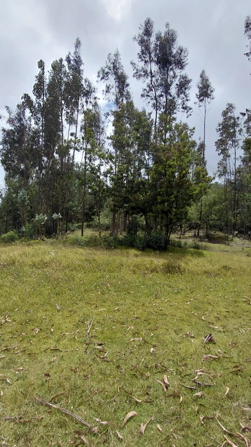 Lote en venta en Gratamira, Sopó, 30000 m² · foto 5 de 19