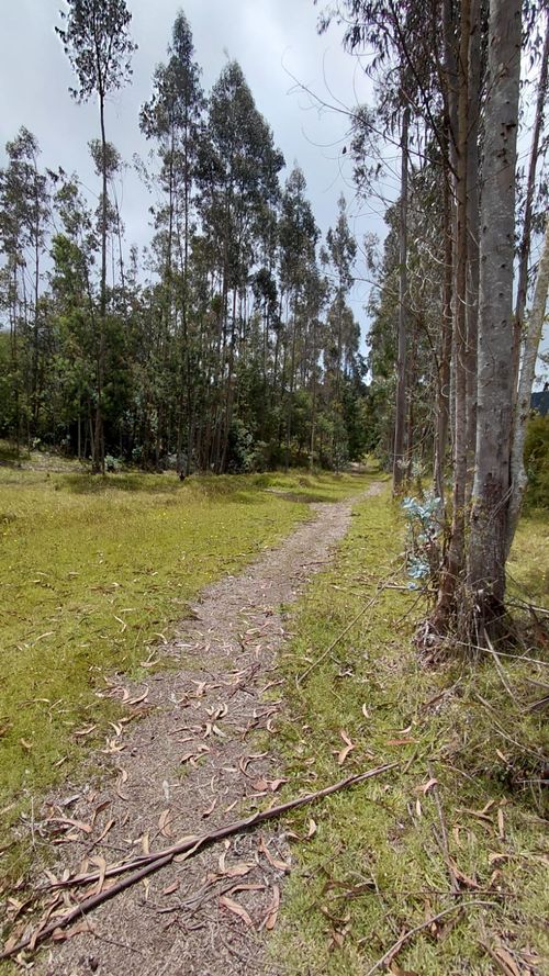 Lote en venta en Gratamira, Sopó, 30000 m² · foto 6 de 19