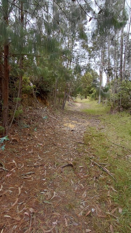 Lote en venta en Gratamira, Sopó, 30000 m² · foto 7 de 19
