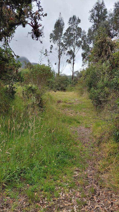 Lote en venta en Gratamira, Sopó, 30000 m² · foto 8 de 19