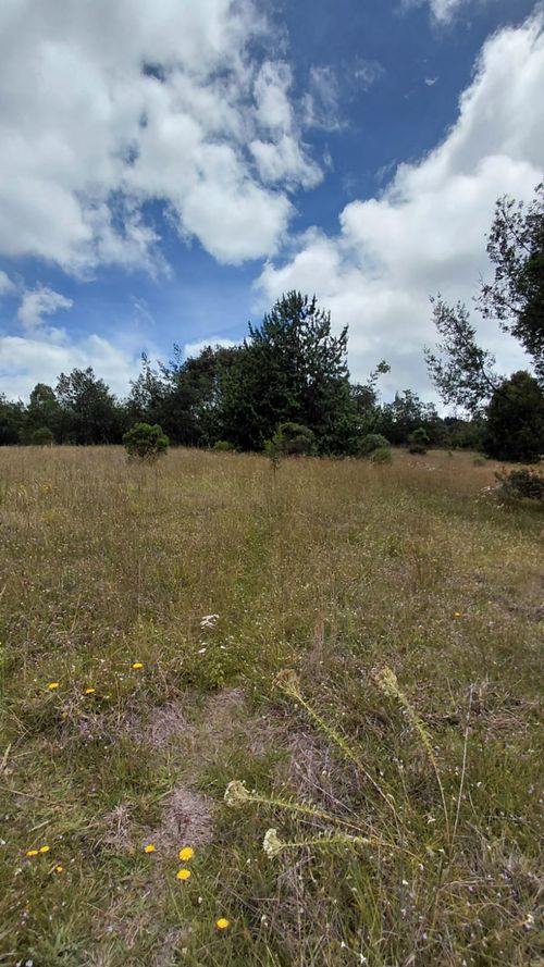 Lote en venta en Gratamira, Sopó, 30000 m² · foto 11 de 19