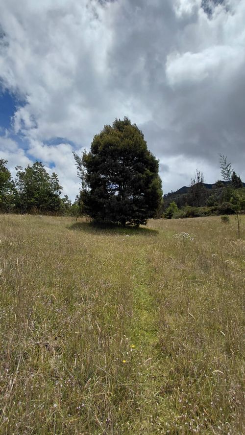 Lote en venta en Gratamira, Sopó, 30000 m² · foto 12 de 19