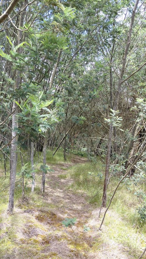 Lote en venta en Gratamira, Sopó, 30000 m² · foto 14 de 19