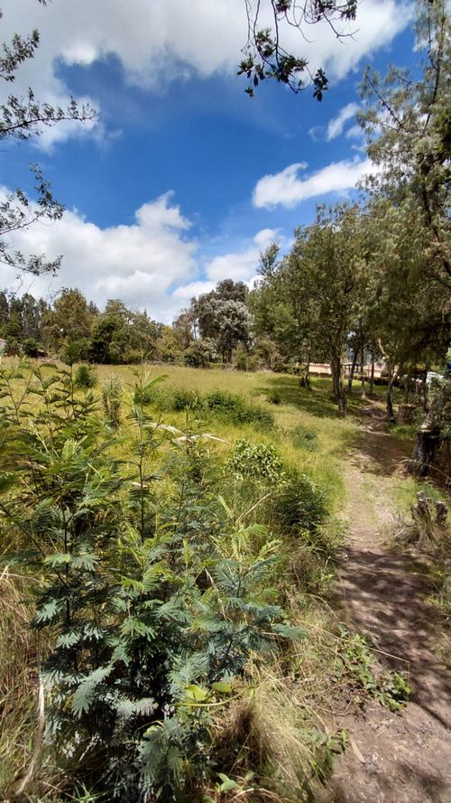 Lote en venta en Gratamira, Sopó, 30000 m² · foto 16 de 19