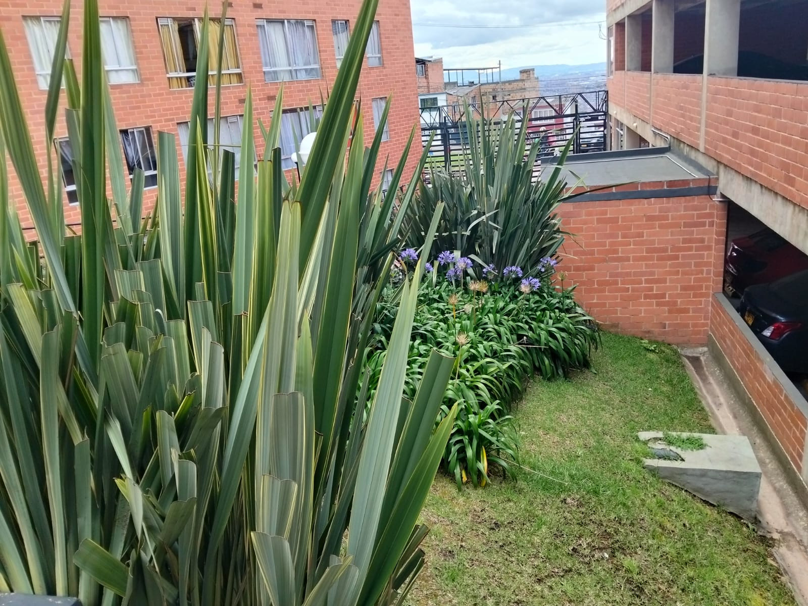 Apartamento en venta en San Cristobal Sur, Bogotá · foto 9 de 11