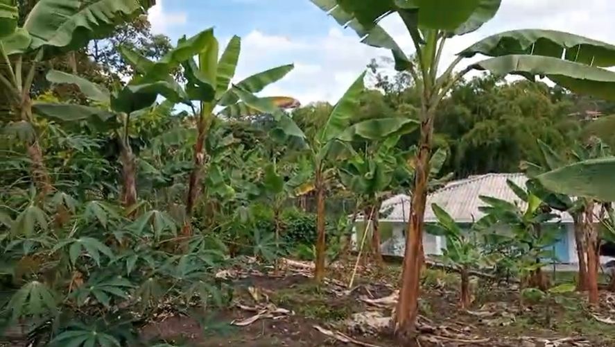 Lote en venta en Arabia, Pereira · foto 5 de 6