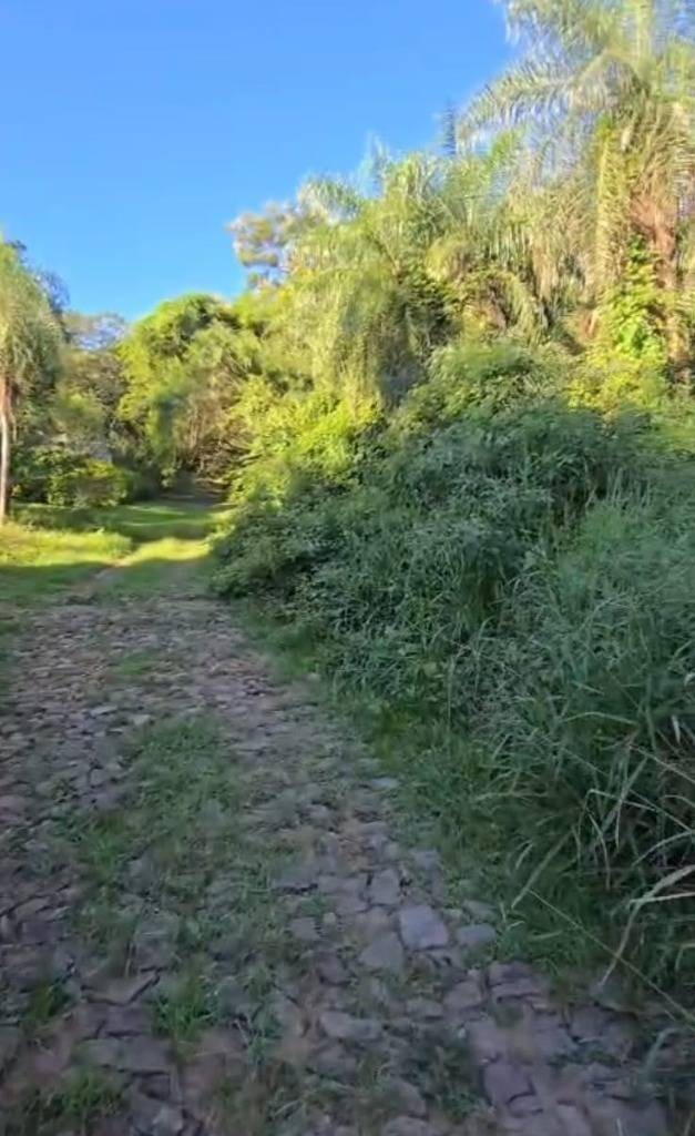 Vendo hermoso terreno totalmente arbolado -  San Bernardino — foto 3