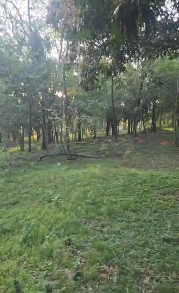 Vendo hermoso terreno totalmente arbolado -  San Bernardino — foto 2