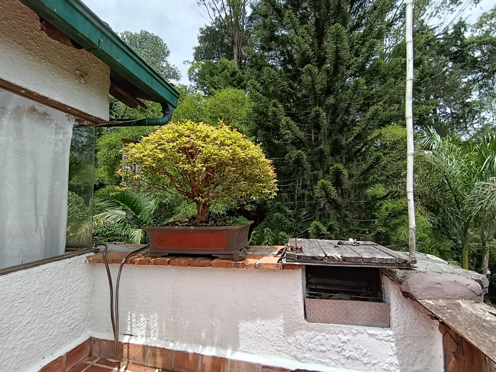 Casa en arriendo en El Poblado, Medellín · foto 5 de 19