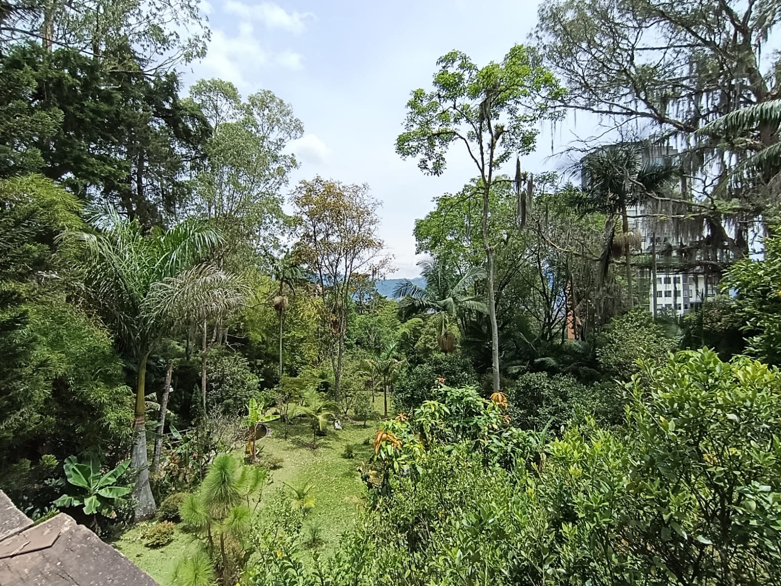 Casa en arriendo en El Poblado, Medellín · foto 6 de 19