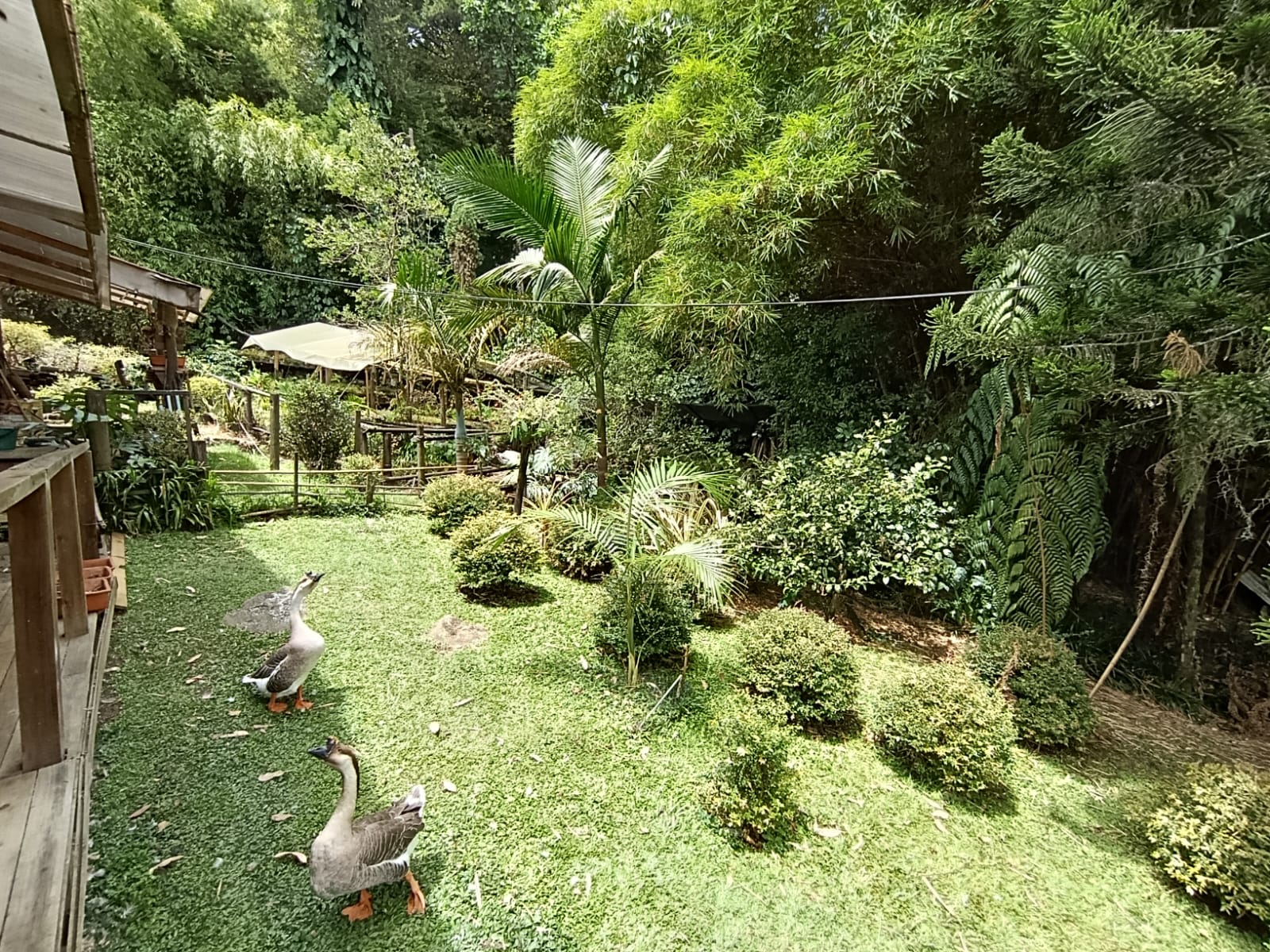 Casa en arriendo en El Poblado, Medellín · foto 14 de 19