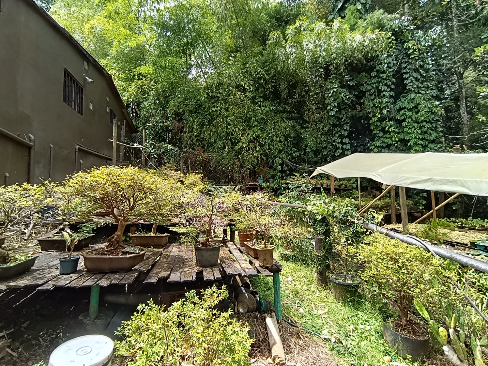 Casa en arriendo en El Poblado, Medellín · foto 17 de 19